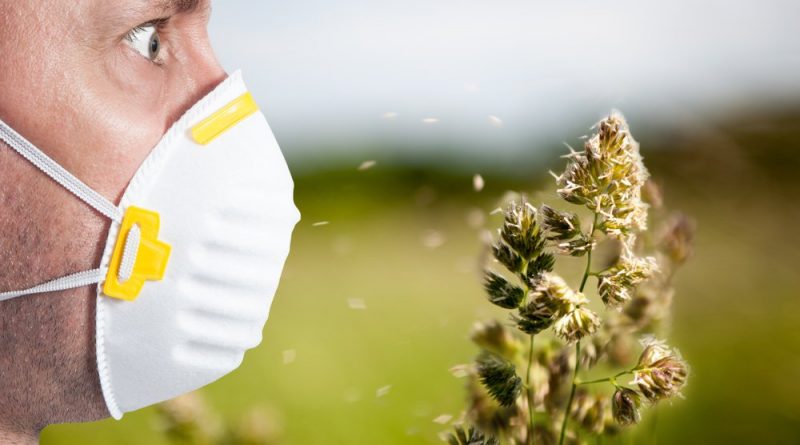 Алергія на трави: які аналізи допоможуть виявити причину